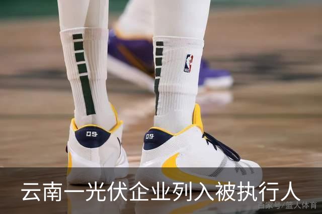 云南一光伏企业列入被执行人