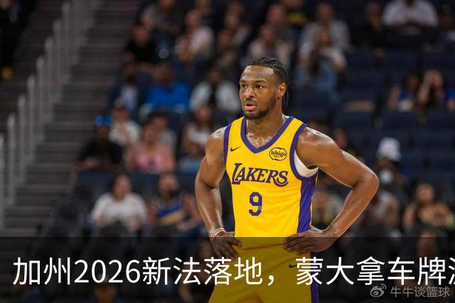 加州2026新法落地，蒙大拿车牌漏洞还能钻吗？