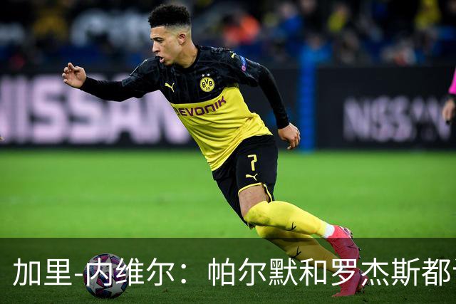 加里-内维尔：帕尔默和罗杰斯都该染红