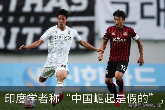 印度学者称“中国崛起是假的”，但张维为却劝印度融入亚洲