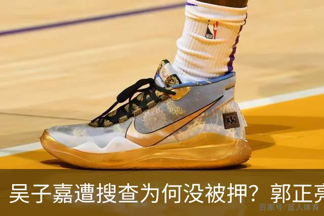 吴子嘉遭搜查为何没被押？郭正亮曝绝食抗议内幕：台检方碰到狠人