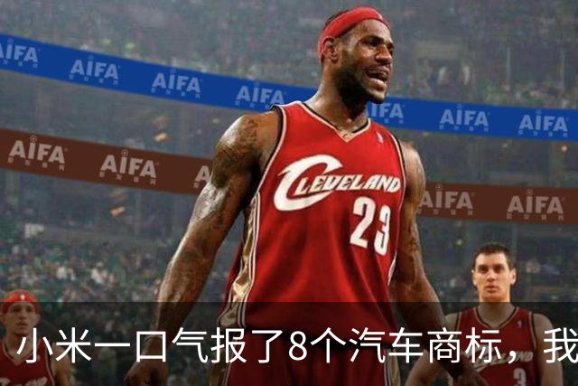小米一口气报了8个汽车商标，我把名字排了一遍，发现一件事！