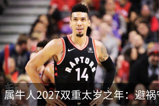 属牛人2027双重太岁之年：避祸守福，实用完整指南