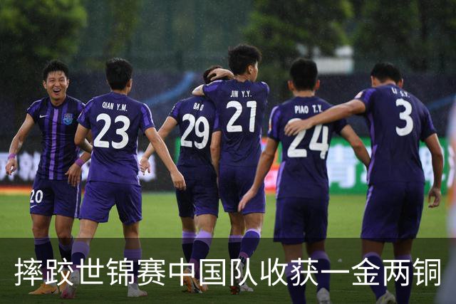 摔跤世锦赛中国队收获一金两铜