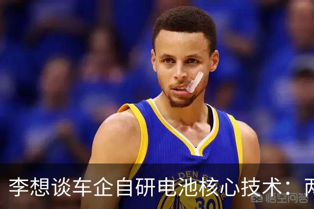 李想谈车企自研电池核心技术：两条腿交替行进才能推动行业前进