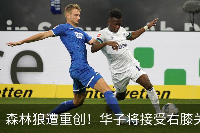 森林狼遭重创！华子将接受右膝关节镜手术 或休两个月再次无缘评奖
