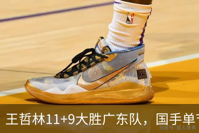 王哲林11+9大胜广东队，国手单节5记三分，核心外援12中1