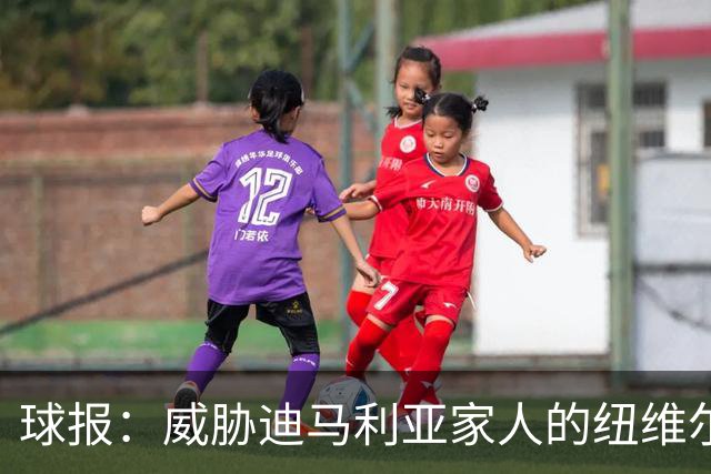 球报：威胁迪马利亚家人的纽维尔球迷组织成员获刑七年半