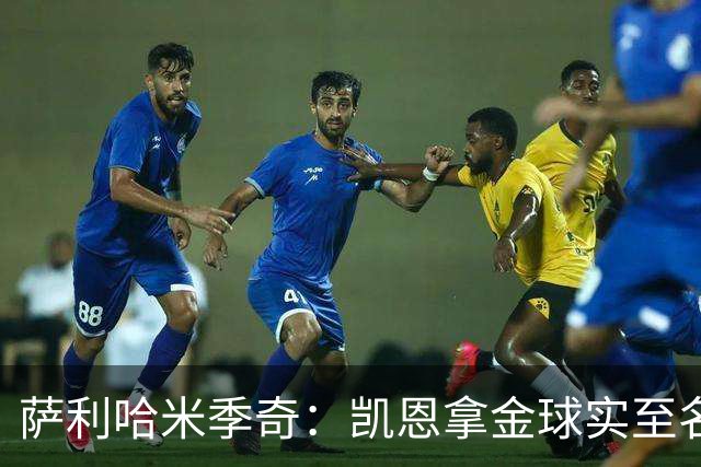萨利哈米季奇：凯恩拿金球实至名归，盼他带欧冠回慕尼黑