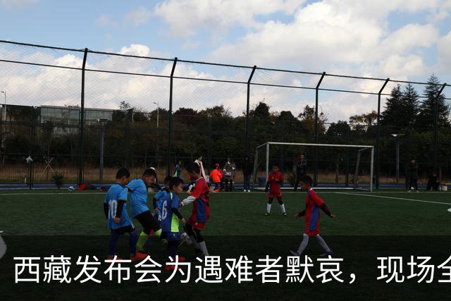 西藏发布会为遇难者默哀，现场全体起立，悼念遇难同胞；此次地震震级高、震源浅，震区平均海拔接近4800米