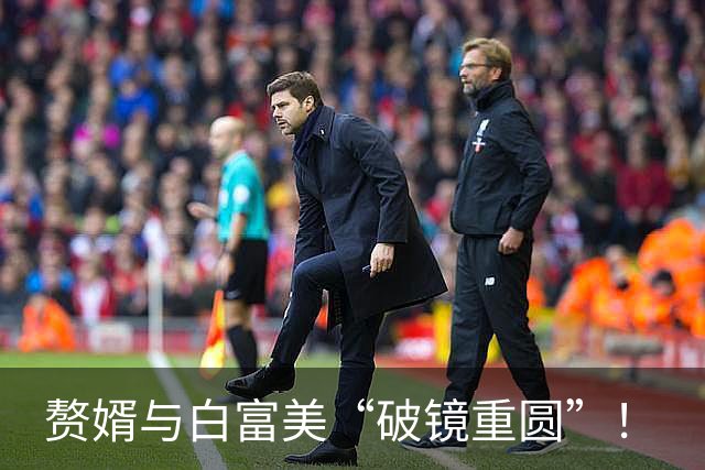 赘婿与白富美“破镜重圆”！