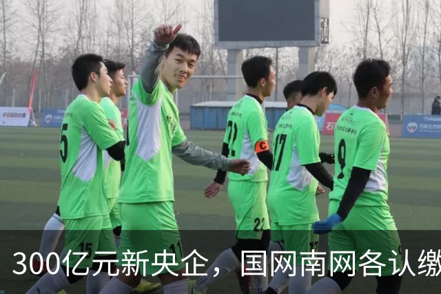 300亿元新央企，国网/南网各认缴37.5亿元